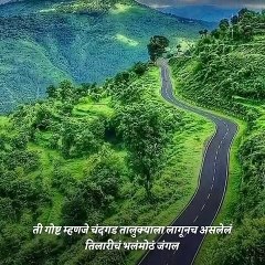 Travel Diary: Take A Tour Of Amazon Of Maharashtra, Tilari Forest