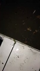 Inondations à Salon-de-Provence, rue Kennedy