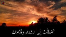 الابن الضال - بصوت المعلم ابراهيم عياد