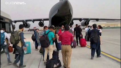 Kritik an Bundesregierung: Mitschuld für "menschliche Tragödien" in Afghanistan