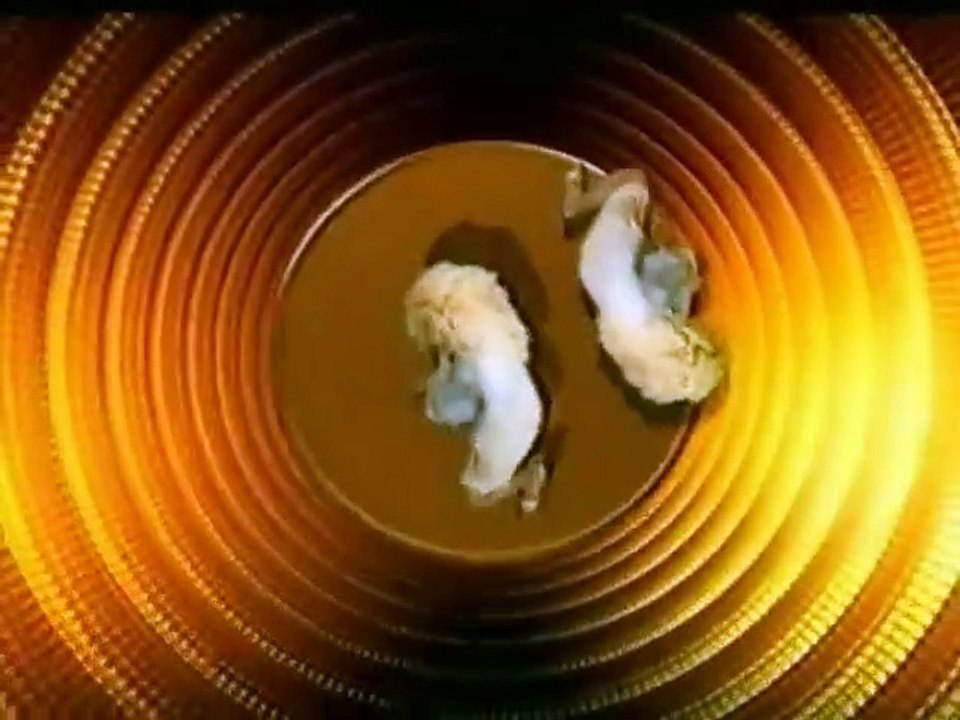 Jelena Elena - Ti prvi si