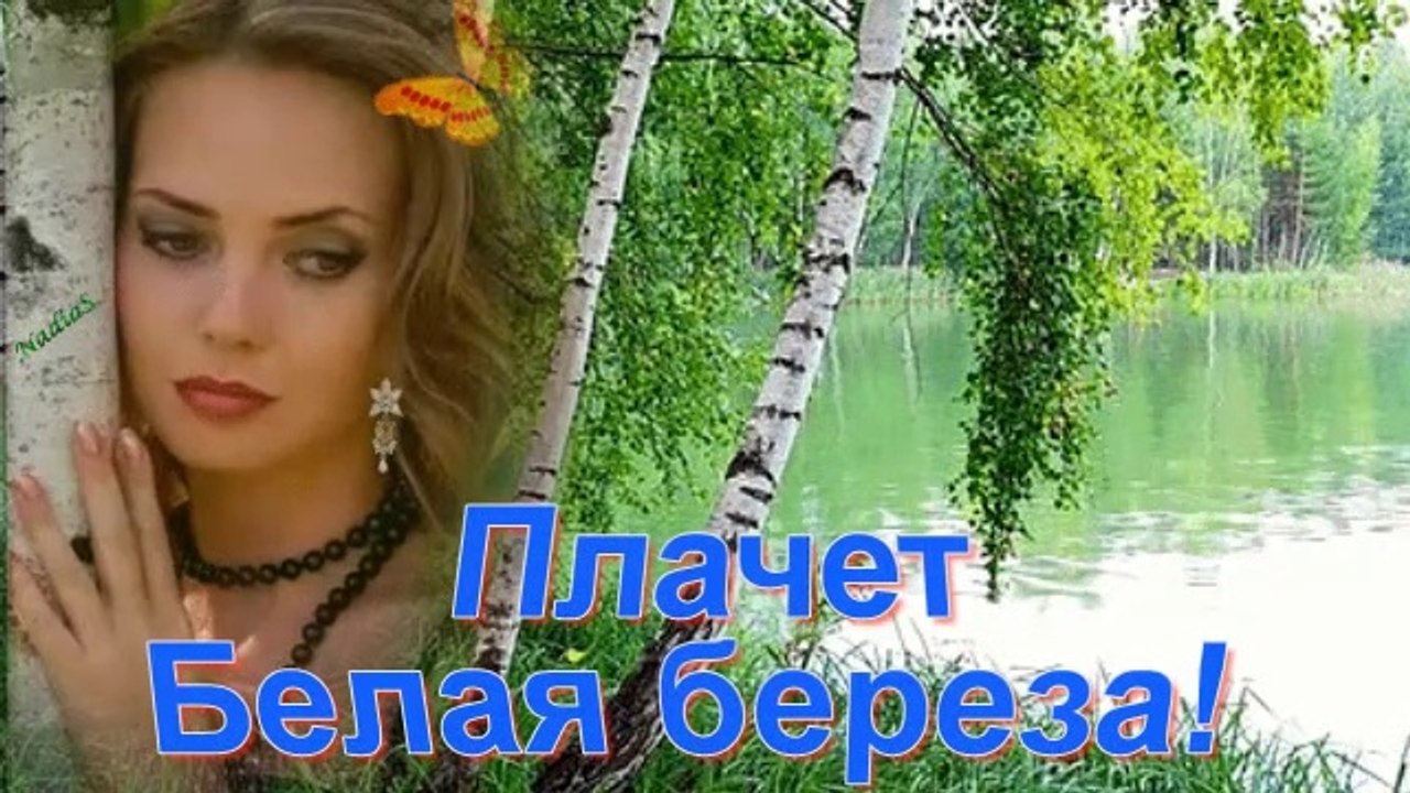 Плачет белая береза