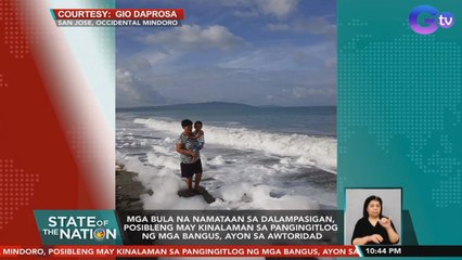 Mga bula na namataan sa dalampasigan, posibleng may kinalaman sa pangingitlog ng mga bangus, ayon sa awtoridad | SONA
