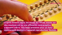 Ce nouveau contraceptif sans hormone affiche des résultats étonnants