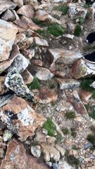 Electric Charge Builds On Mountaintop Hikers