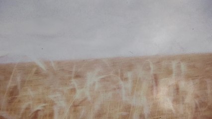 Federico Albanese - Meridian