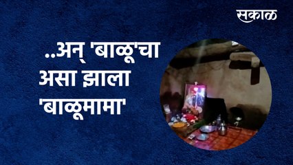 Download Video: Exclusive Video: ..अन् 'बाळू'चा असा झाला 'बाळूमामा' | BaluMama | Maharashtra | Sakal Media