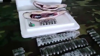 ext-narco-peces-bolivia-240821