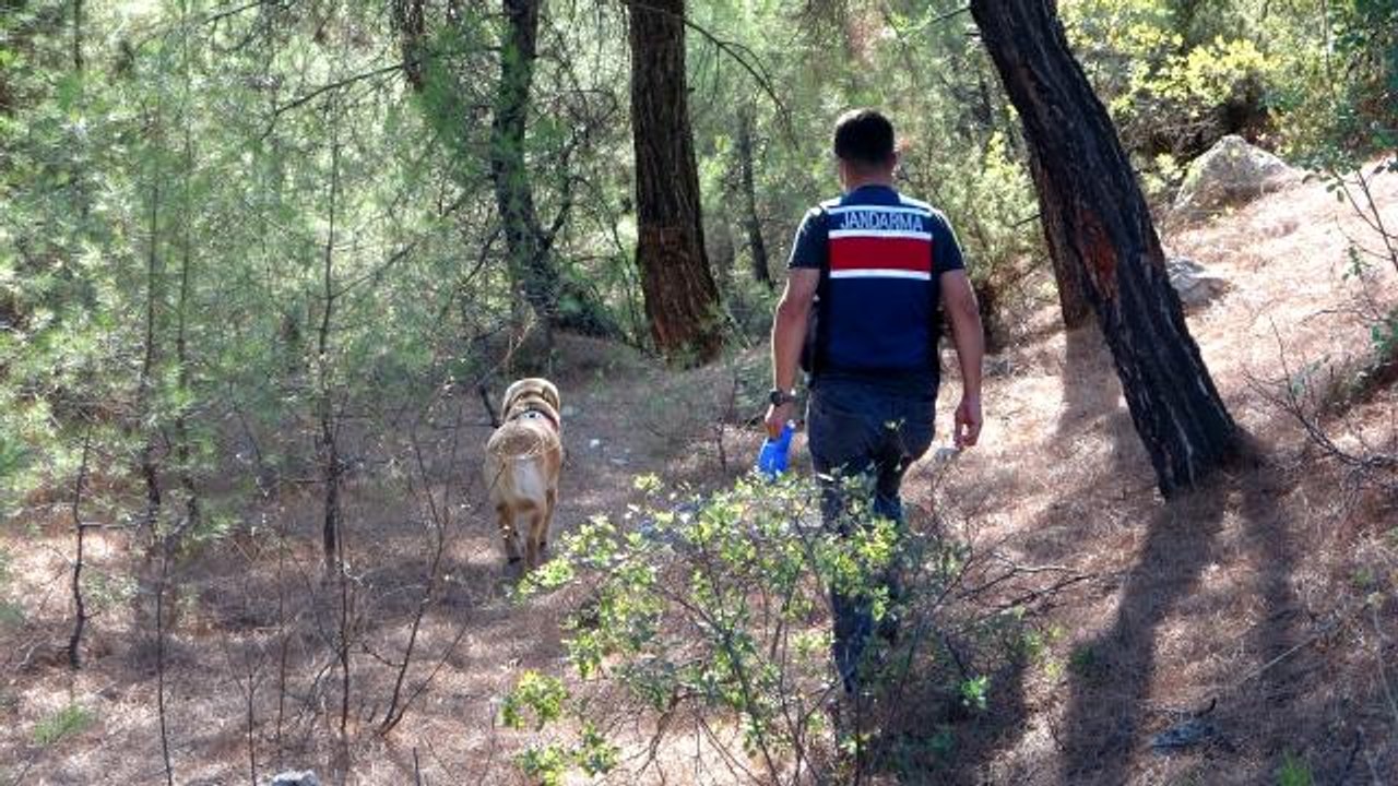 Düğünden sonra kaybolan kadın için aramalar devam ediyor