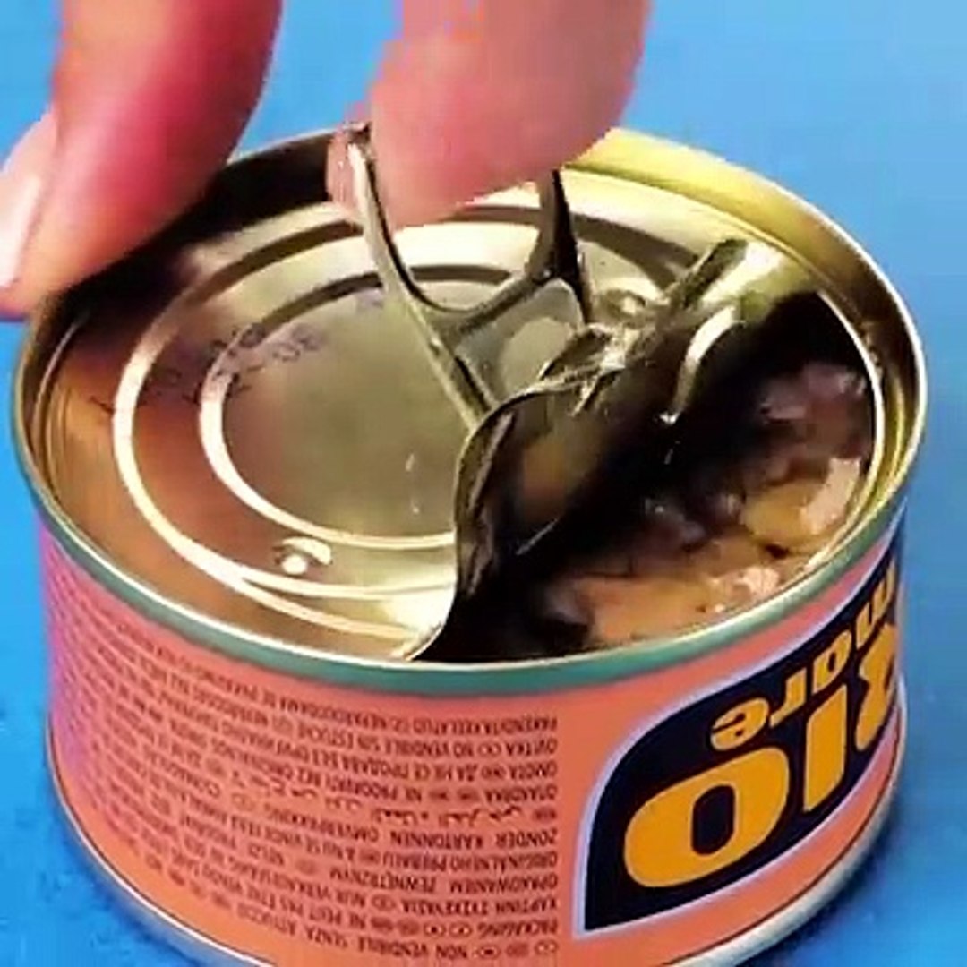 Come aprire una scatoletta di tonno senza sporcarsi d'olio - Video  Dailymotion