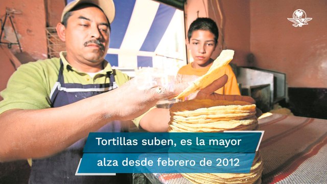 Tortillas no dan tregua y suben 15.1% en primera mitad de agosto, nuevo récord: Inegi