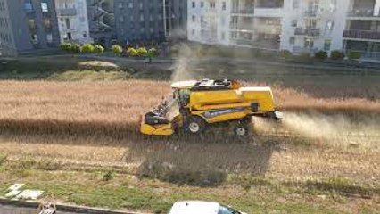 Farmer That Refused to Sell Land Harvests Between Apartment Buildings