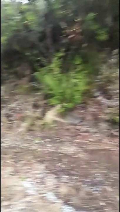 Trets sous l'orage 24 aout 2021 les vidéos des tretsois