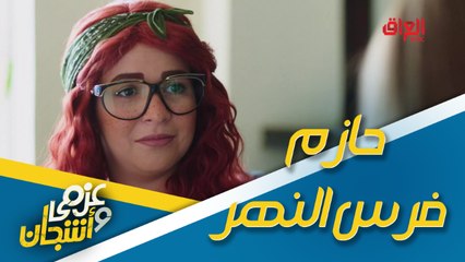 جريمة نصب جديدة من عزمي وأشجان.. مقلب ساخر مع حازم فرس النهر
