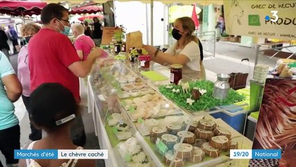 Marchés d'été : le banon, le fromage de chèvre caché