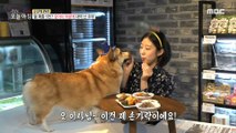 [TASTY] Handmade snacks for the mouth-watering-looking dog!, 생방송 오늘 아침 210825