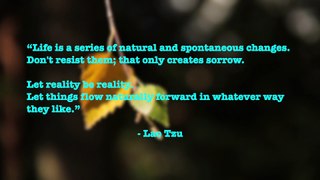Lao Tzu Life Quotes #laotzu #lifequotes