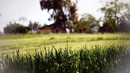 A vendre - Maison - SAINT JEAN D'ILLAC (33127) - 7 pièces - 145m²