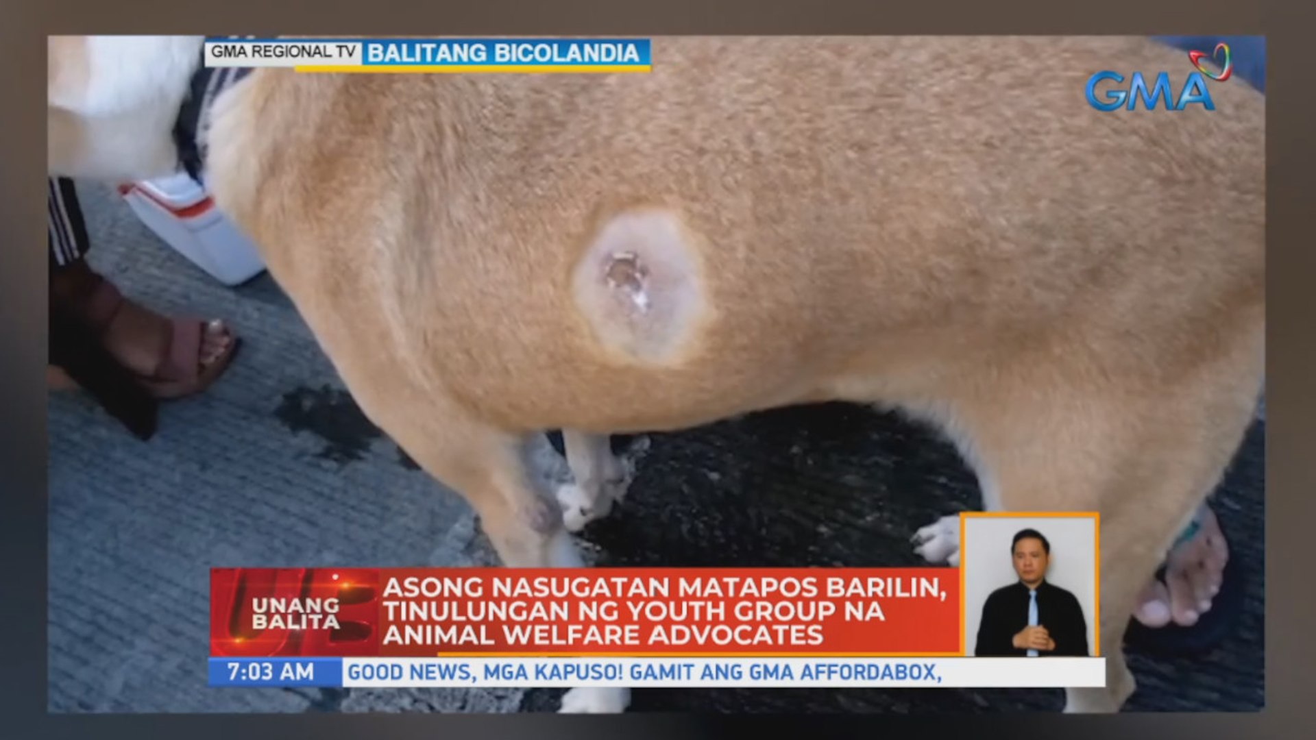 ⁣Asong nasugatan matapos barilin, tinulungan ng youth group na animal welfare advocates | UB