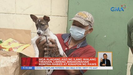 Mga alagang aso ng ilang walang tirahan, libreng binakunahan kontra-rabies at kinapon ng PAWS | UB