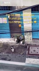 Giây phút trêu cún đáng yêu của anh lính: Đẹp cả lí tưởng lẫn tâm hồn