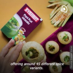 Everest Spice Brand: A Inspiring History & Success Journey 🌶️