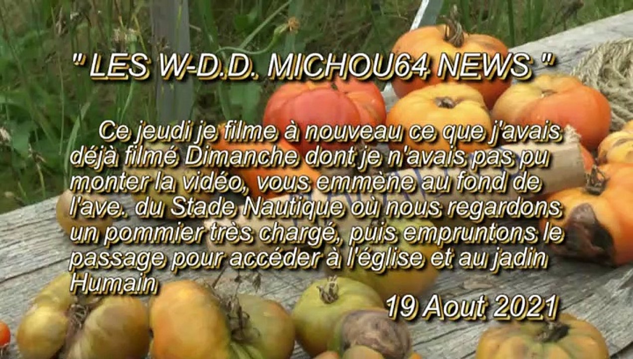 LES W-D.D. MICHOU64 NEWS - 19 AOUT 2021 - PAU - QUARTIER TRESPOEY LES NOUVEAUTÉS DU JARDIN HUMAIN DES FIORETTI