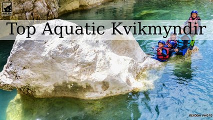 The Great Aquatic Kvikmyndir