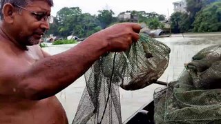 Primitive System Fishing Asian People 2021Bangladesh live fishing