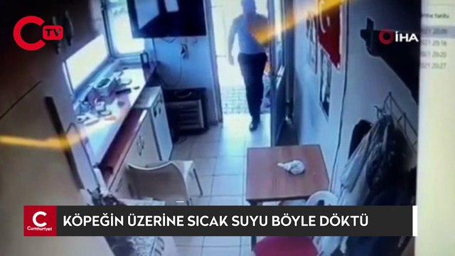 Güvenlik görevlisi ocakta ısıttığı sıcak suyu, köpeğin üzerine böyle döktü