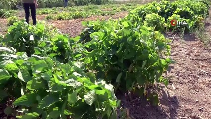 Bu da bilim tarlası...Ar-Ge merkezi çiftçinin yüzünü güldürecek