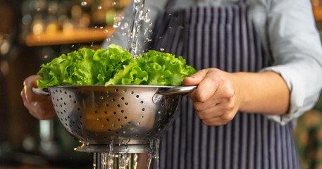 Salade flétrie, voici l’astuce imparable pour lui rendre toute sa fraîcheur