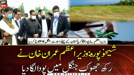 PM Imran inaugurates country’s first smart forest in Sheikhupura