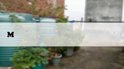 Video#1 MY TERRACE MY GARDEN- AN OVERVIEW