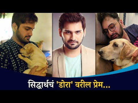 Siddharth Chandekar's love for Dora | सिद्धार्थ चांदेकरच पेट प्रेम | Lokmat CNX Filmy