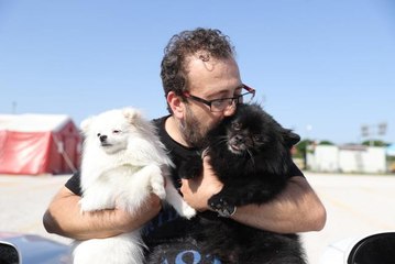 İngiltere'ye dönen gurbetçi aileye "Karam" ve "Köpük" yol arkadaşı oldu