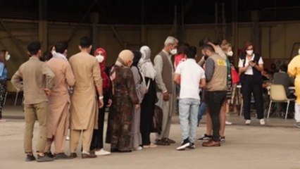 Tres de cada cuatro afganos evacuados han pedido asilo en España