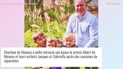 Charlene et Albert de Monaco enfin réunis ! Le bonheur avec Jacques et Gabriella en Afrique du Sud
