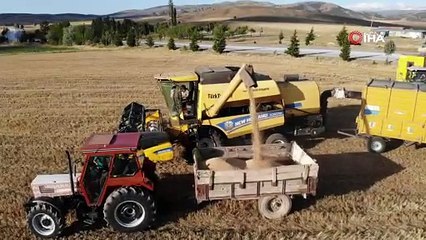 Tokat’ta buğday rekoltesinde artış bekleniyor
