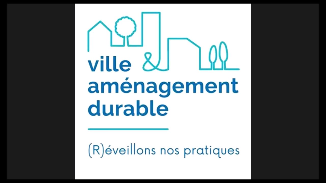 Webinaire Villes et territoires durables - Table ronde autour de l'humain dans la ville - DREAL ARA