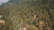 KAHRAMANMARAŞ - Doğu Akdeniz ve Güneydoğu Anadolu'da orman varlığı artıyor