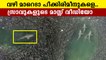 Sharks attacking Fishes, Viral video | Oneindia Malayalam