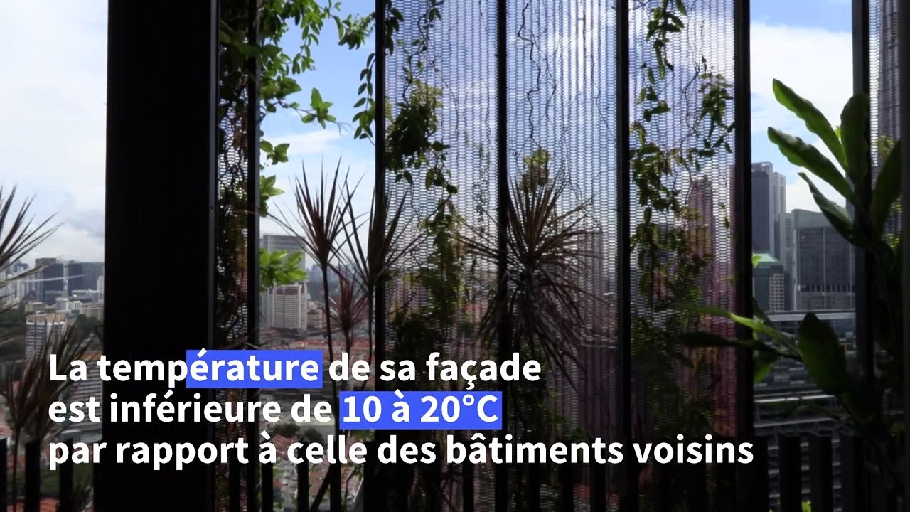 Singapour: une "tour végétale" pour lutter contre la chaleur atmosphérique