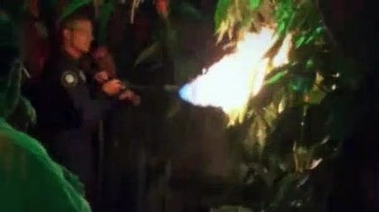 Stargate SG1 - S08E04