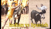 INDIAN  VS SPANISH BULLFIGHT !  JALLIKATTU!  BULL FIGHT