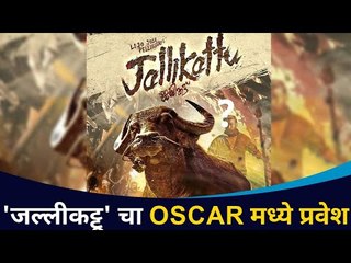 जल्लीकट्टूचा ऑस्करमध्ये प्रवेश | Jallikattu Malayalam Movie | Lijo Jose Pellissery |Lokmat CNX Filmy