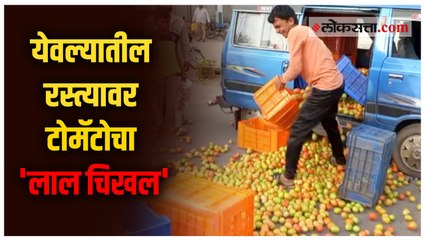 समाधानकारक भाव न मिळाल्यामुळे शेतकऱ्याने रस्त्यावर फेकले टोमॅटो