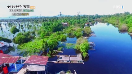 세계테마기행 - 고고 아일랜드- 밀림에 산다, 인도네시아_#003