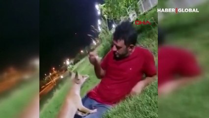 Filo adını verdiği tilki dostunu elleriyle besliyor