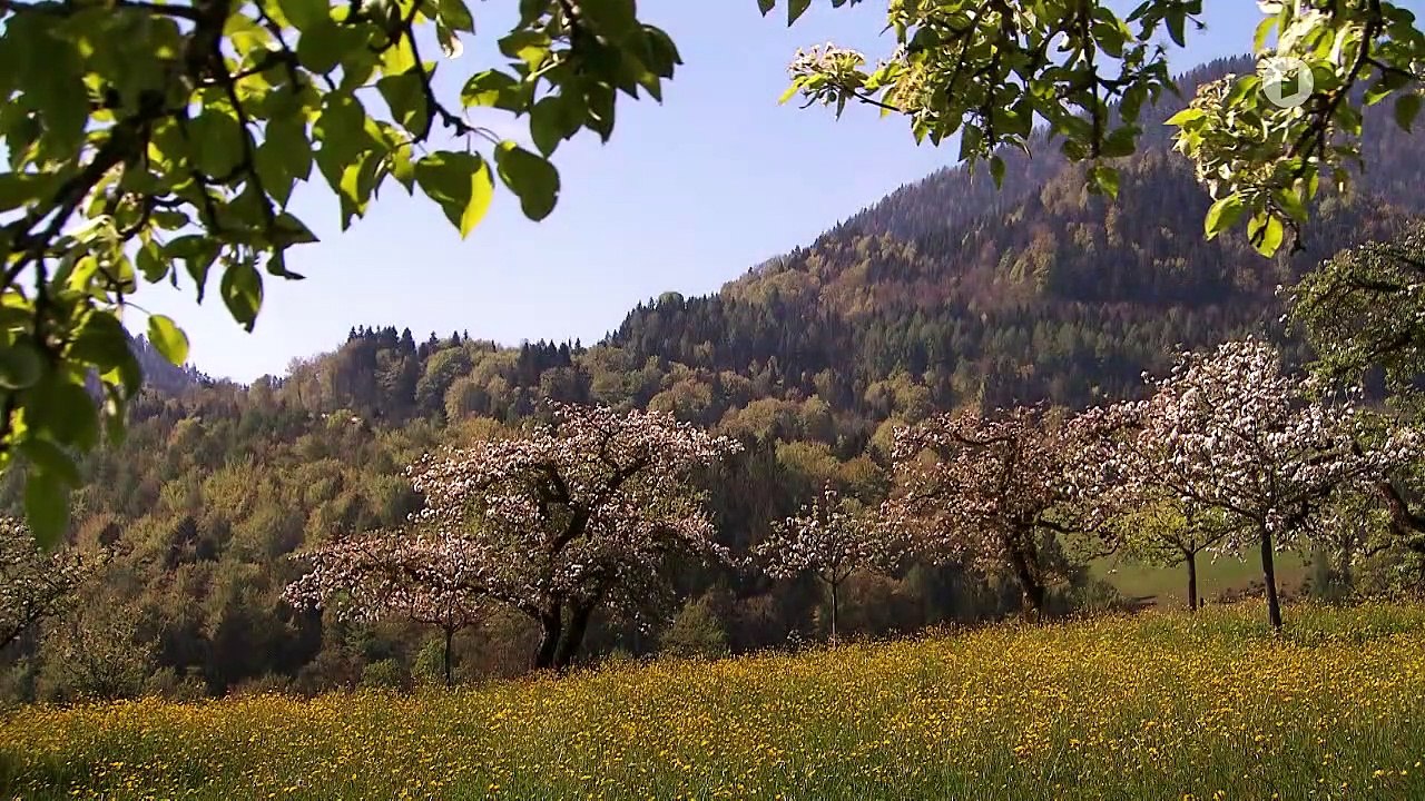 Sturm der Liebe: Folge 3663: Symptome